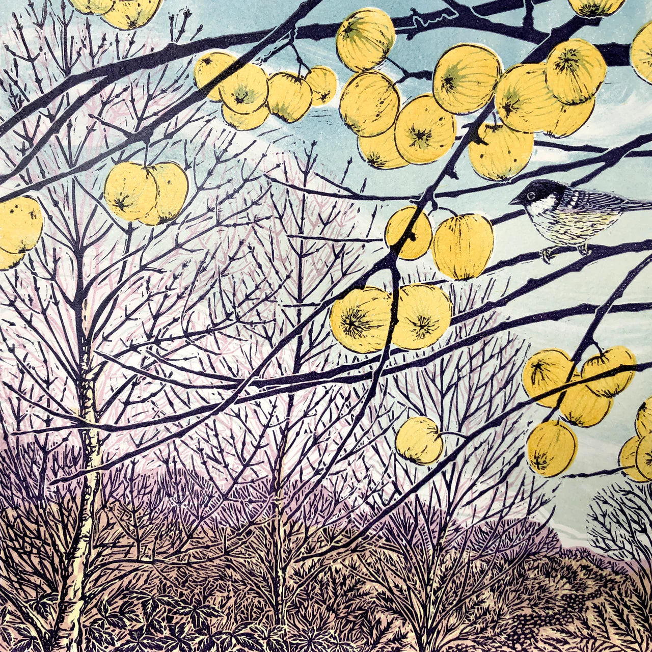 Claire Armitage - Last Apples Limited edition Lino Print