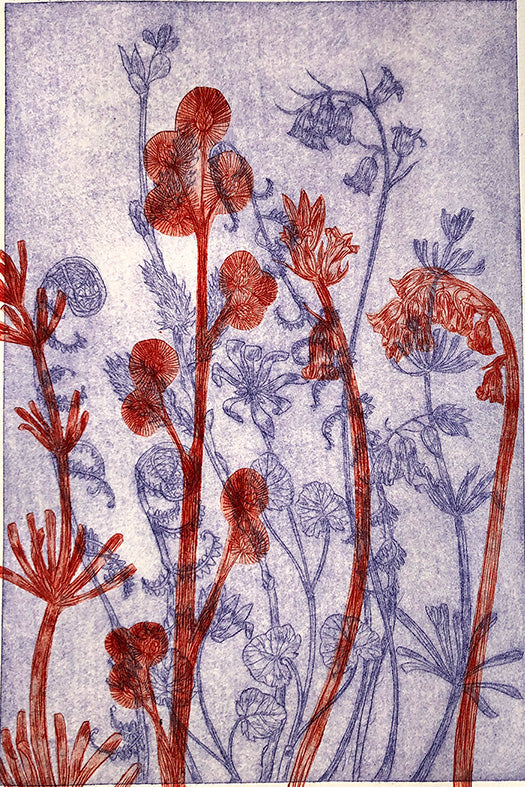 Claire Armitage, Lifeforce Etching